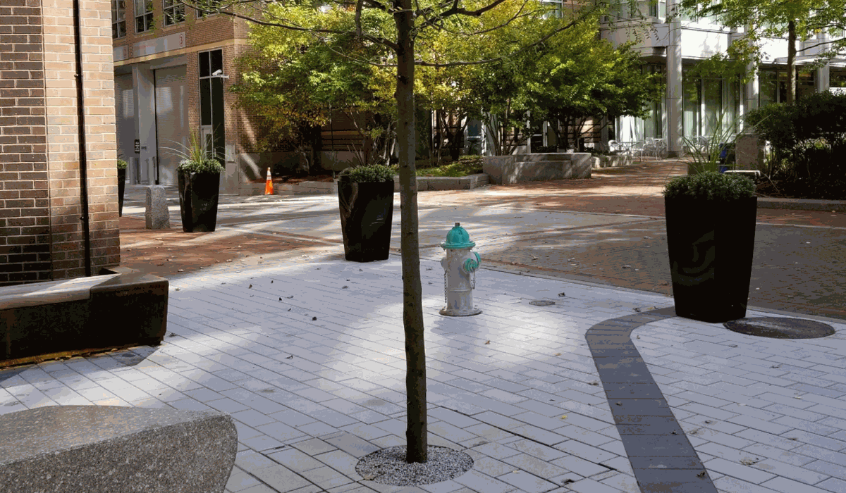 tree grate by Wundercovers