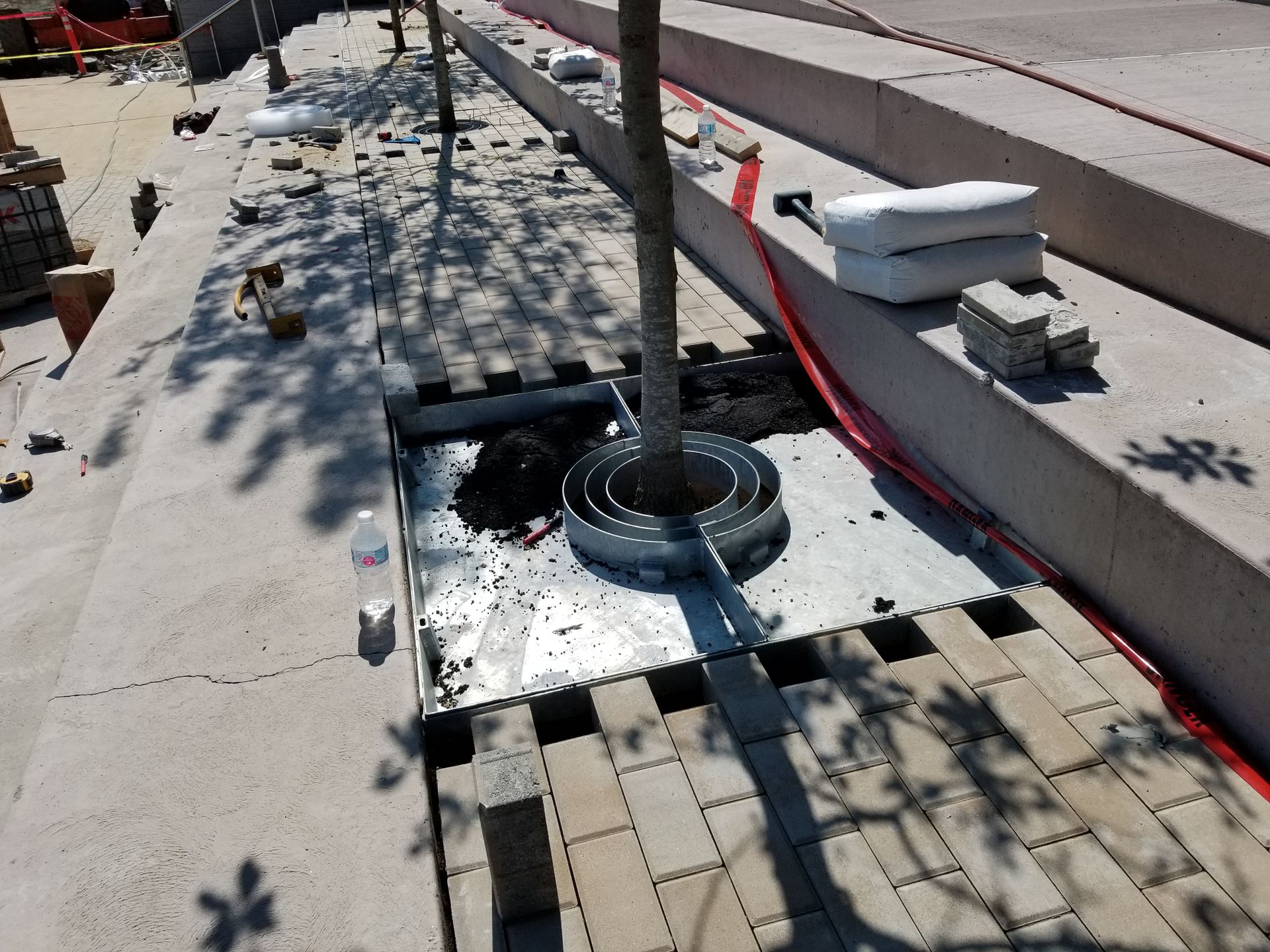 tree grate