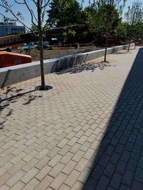 hidden tree grates
